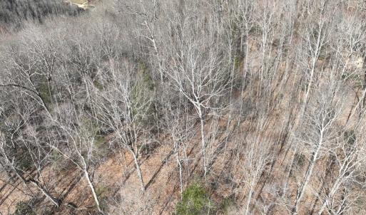 Photo #6 of 00 Helen Henderson Highway, Honaker, VA 21.0 acres