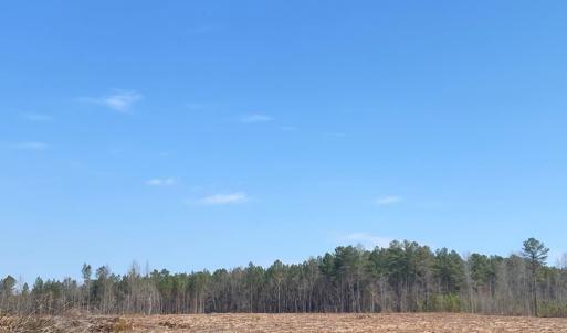 Photo #10 of Chalk Level Rd, Alberta, VA 32.5 acres