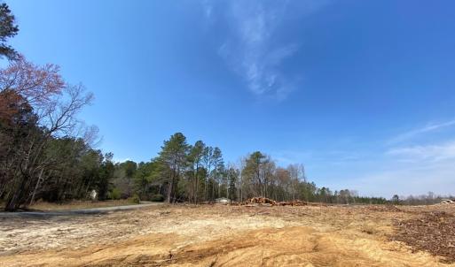 Photo #13 of Chalk Level Rd, Alberta, VA 32.5 acres