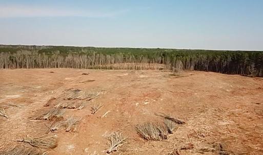 Photo #28 of Chalk Level Rd, Alberta, VA 28.1 acres