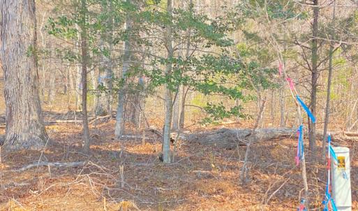 Photo #3 of Chalk Level Rd, Alberta, VA 28.1 acres