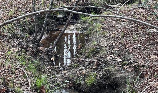 Photo #46 of Chalk Level Rd, Alberta, VA 28.1 acres