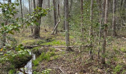 Photo #47 of Chalk Level Rd, Alberta, VA 28.1 acres