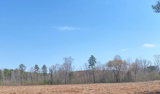 Photo #12 of Chalk Level Rd, Alberta, VA 28.1 acres