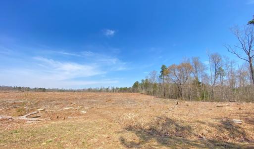 Photo #17 of Chalk Level Rd, Alberta, VA 28.1 acres