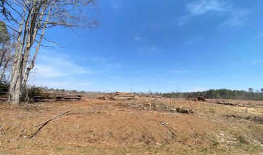 Photo #7 of Chalk Level Rd, Alberta, VA 28.1 acres