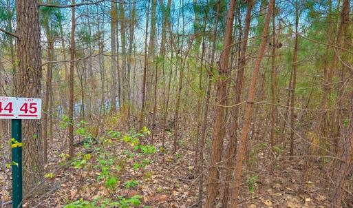 Photo #6 of Whitmore Town Road, Crewe, VA 0.7 acres