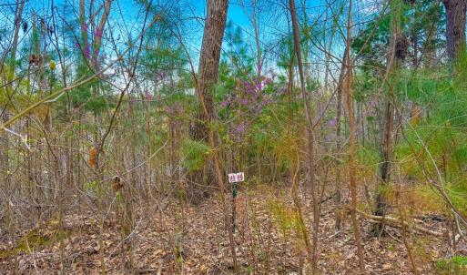 Photo #8 of Whitmore Town Road, Crewe, VA 0.7 acres
