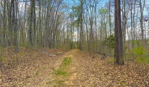 Photo #10 of Whitmore Town Road, Crewe, VA 0.7 acres