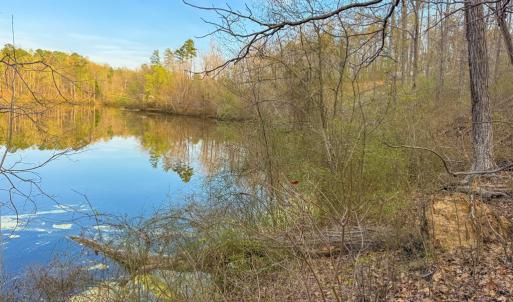Photo #6 of Whitmore Town Road, Crewe, VA 0.7 acres
