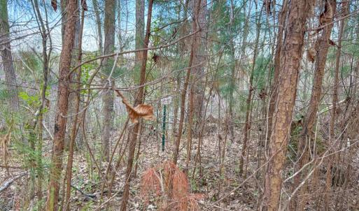 Photo #8 of Whitmore Town Road, Crewe, VA 0.7 acres