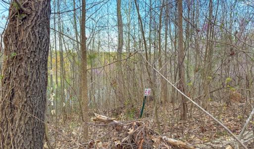 Photo #9 of Whitmore Town Road, Crewe, VA 0.7 acres
