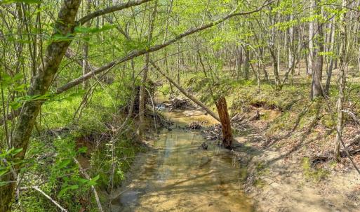 Photo #11 of Piney Green Road, Crewe, VA 57.4 acres
