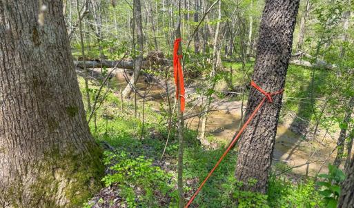 Photo #18 of Piney Green Road, Crewe, VA 57.4 acres