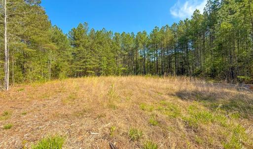 Photo #4 of Piney Green Road, Crewe, VA 57.4 acres