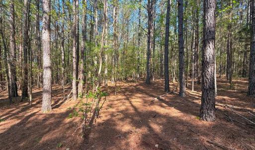 Photo #6 of Piney Green Road, Crewe, VA 57.4 acres
