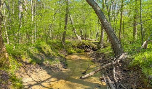 Photo #13 of Piney Green Road, Crewe, VA 57.4 acres