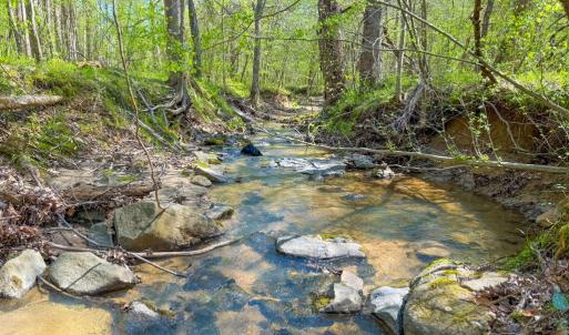 Photo #15 of Piney Green Road, Crewe, VA 57.4 acres