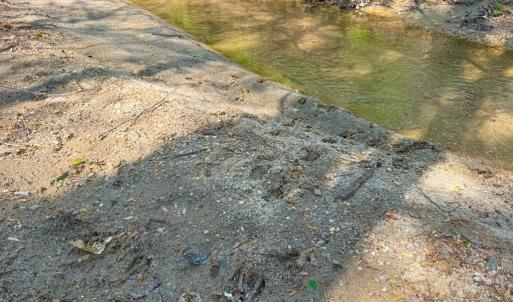 Photo #17 of Piney Green Road, Crewe, VA 57.4 acres