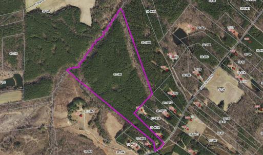 Photo #2 of Piney Green Road, Crewe, VA 57.4 acres