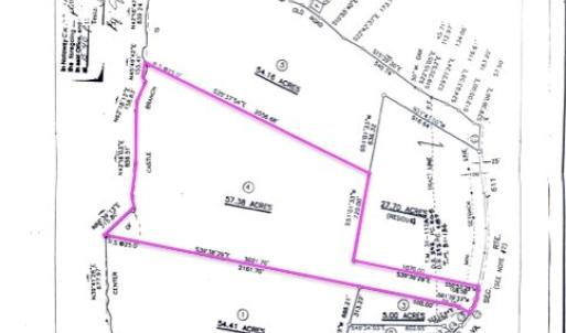 Photo #3 of Piney Green Road, Crewe, VA 57.4 acres