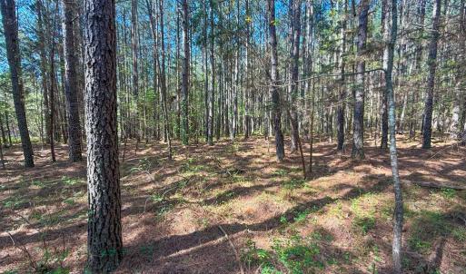 Photo #9 of Piney Green Road, Crewe, VA 57.4 acres