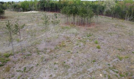 Photo #11 of Prince Edward Hwy, Rice, VA 20.8 acres