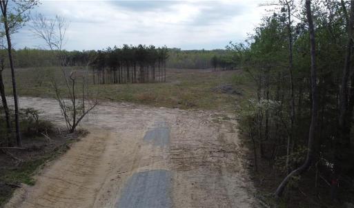 Photo #3 of Prince Edward Hwy, Rice, VA 20.8 acres