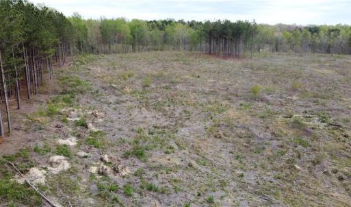 Photo #6 of Prince Edward Hwy, Rice, VA 20.8 acres