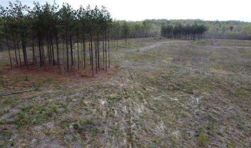 Photo #7 of Prince Edward Hwy, Rice, VA 20.8 acres
