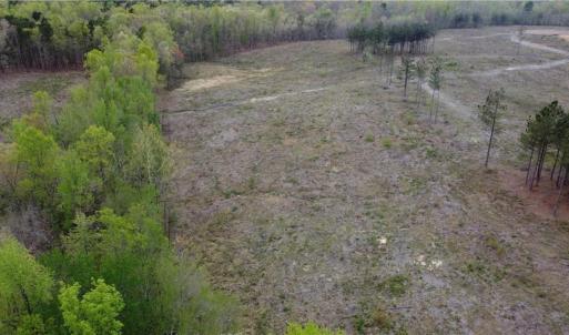 Photo #9 of Prince Edward Hwy, Rice, VA 20.8 acres