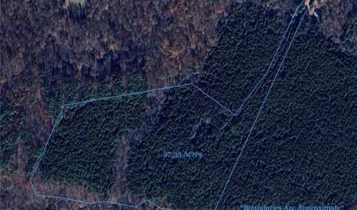 Photo #2 of Prince Edward Hwy, Rice, VA 27.4 acres