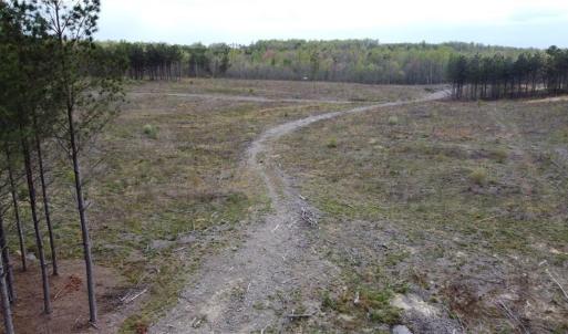Photo #4 of Prince Edward Hwy, Rice, VA 14.9 acres