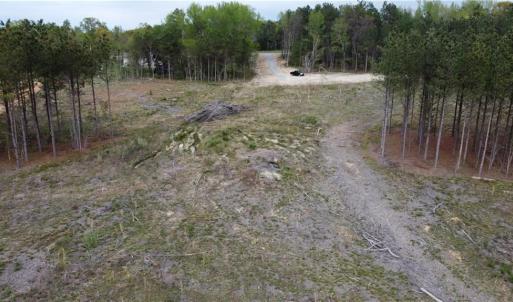 Photo #3 of Prince Edward Hwy, Rice, VA 14.9 acres