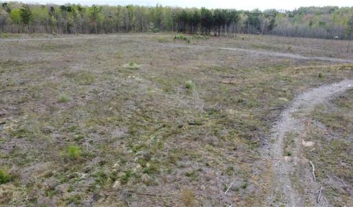 Photo #5 of Prince Edward Hwy, Rice, VA 14.9 acres