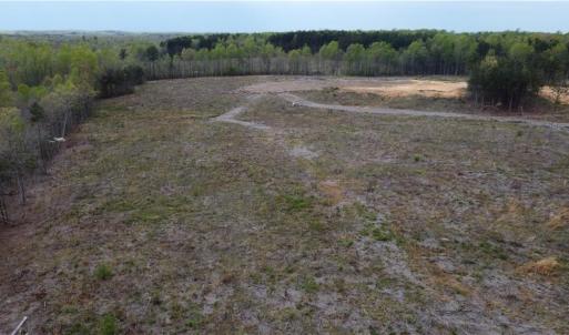Photo #6 of Prince Edward Hwy, Rice, VA 14.9 acres