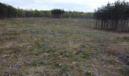 Photo #8 of Prince Edward Hwy, Rice, VA 14.9 acres