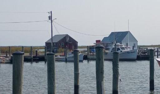 Photo #10 of LOT 160D STARLING CREEK ROAD, SAXIS, VA 0.8 acres