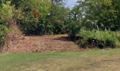 Photo #3 of LOT 160D STARLING CREEK ROAD, SAXIS, VA 0.8 acres