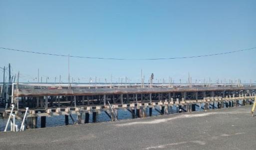 Photo #12 of LOT 160D STARLING CREEK ROAD, SAXIS, VA 0.8 acres