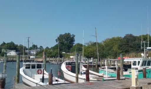 Photo #7 of LOT 160D STARLING CREEK ROAD, SAXIS, VA 0.8 acres