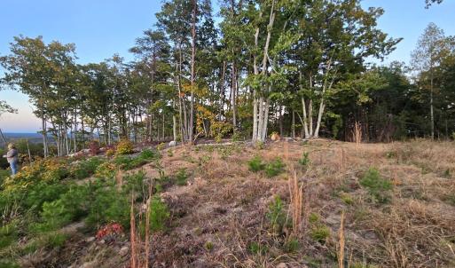 Photo #12 of 628 Mountain Creek Rd, Green Bay, VA 42.3 acres