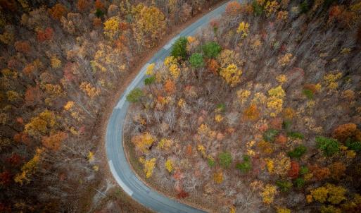 Photo #14 of 628 Mountain Creek Rd, Green Bay, VA 42.3 acres