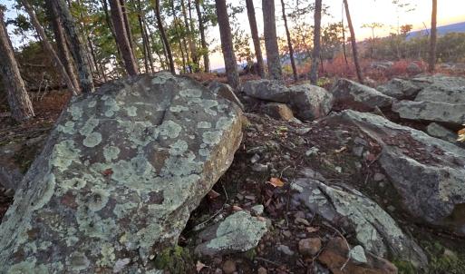 Photo #9 of 628 Mountain Creek Rd, Green Bay, VA 42.3 acres