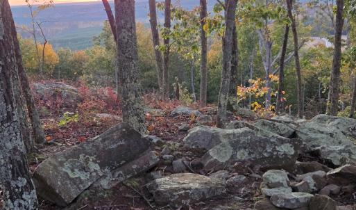 Photo #10 of 628 Mountain Creek Rd, Green Bay, VA 42.3 acres