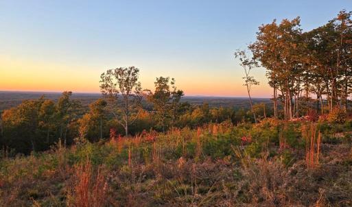 Photo #2 of 628 Mountain Creek Rd, Green Bay, VA 42.3 acres