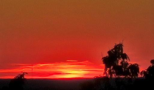 Photo #8 of 628 Mountain Creek Rd, Green Bay, VA 42.3 acres