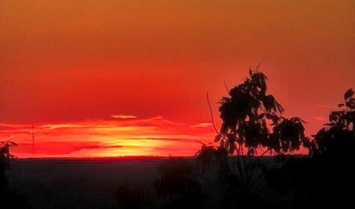 Photo #7 of 628 Mountain Creek Rd, Green Bay, VA 42.3 acres