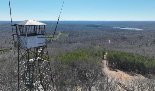 Photo #13 of 628 Mountain Creek Rd, Green Bay, VA 42.3 acres