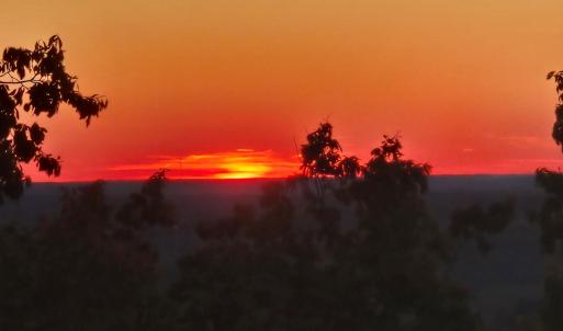 Photo #6 of 628 Mountain Creek Rd, Green Bay, VA 42.3 acres